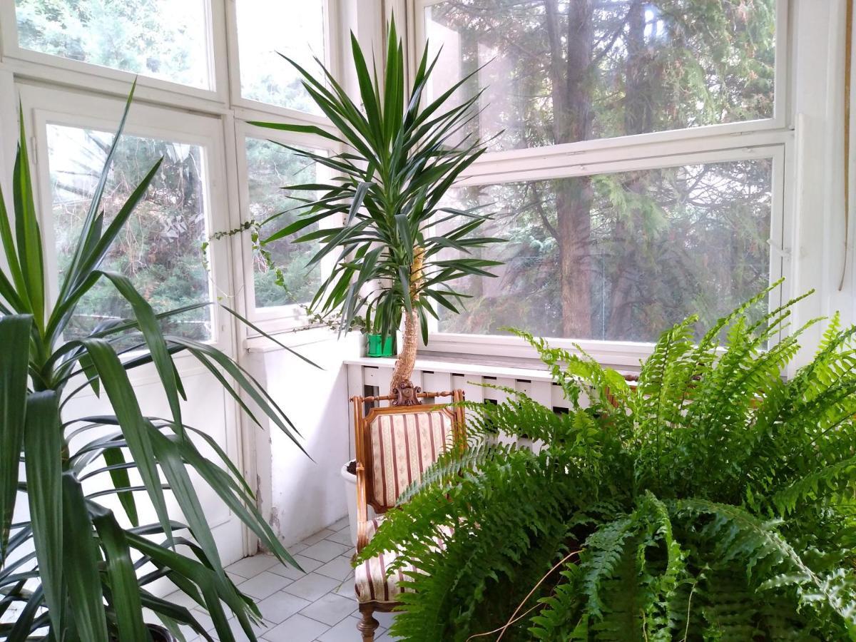 Rooms In Prague-Big+Comfy 外观 照片